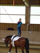 voltitag 2009 _CD1 117